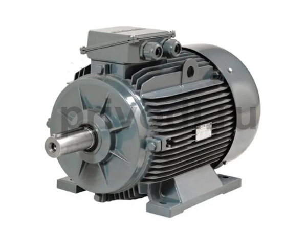 Двухскоростной электродвигатель GR100LC 2/4 B3 (4.0-3.0)